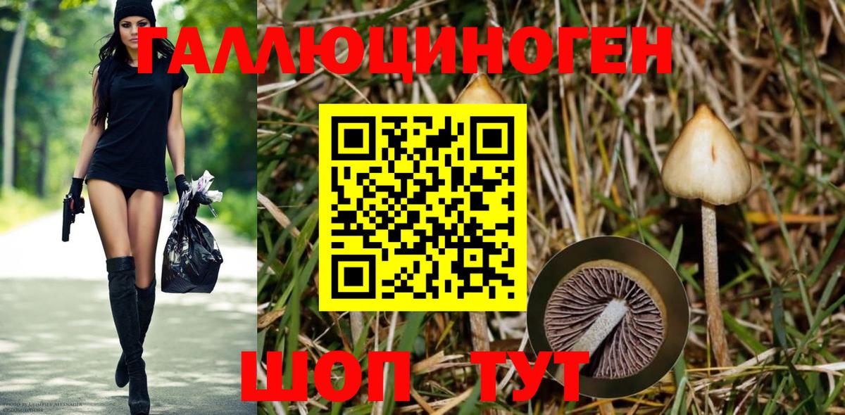 Галлюциногенные грибы GOLDEN TEACHER  Вход с VPN  Тейково  Псилоцибиновые грибы MAGIC MUSHROOMS 